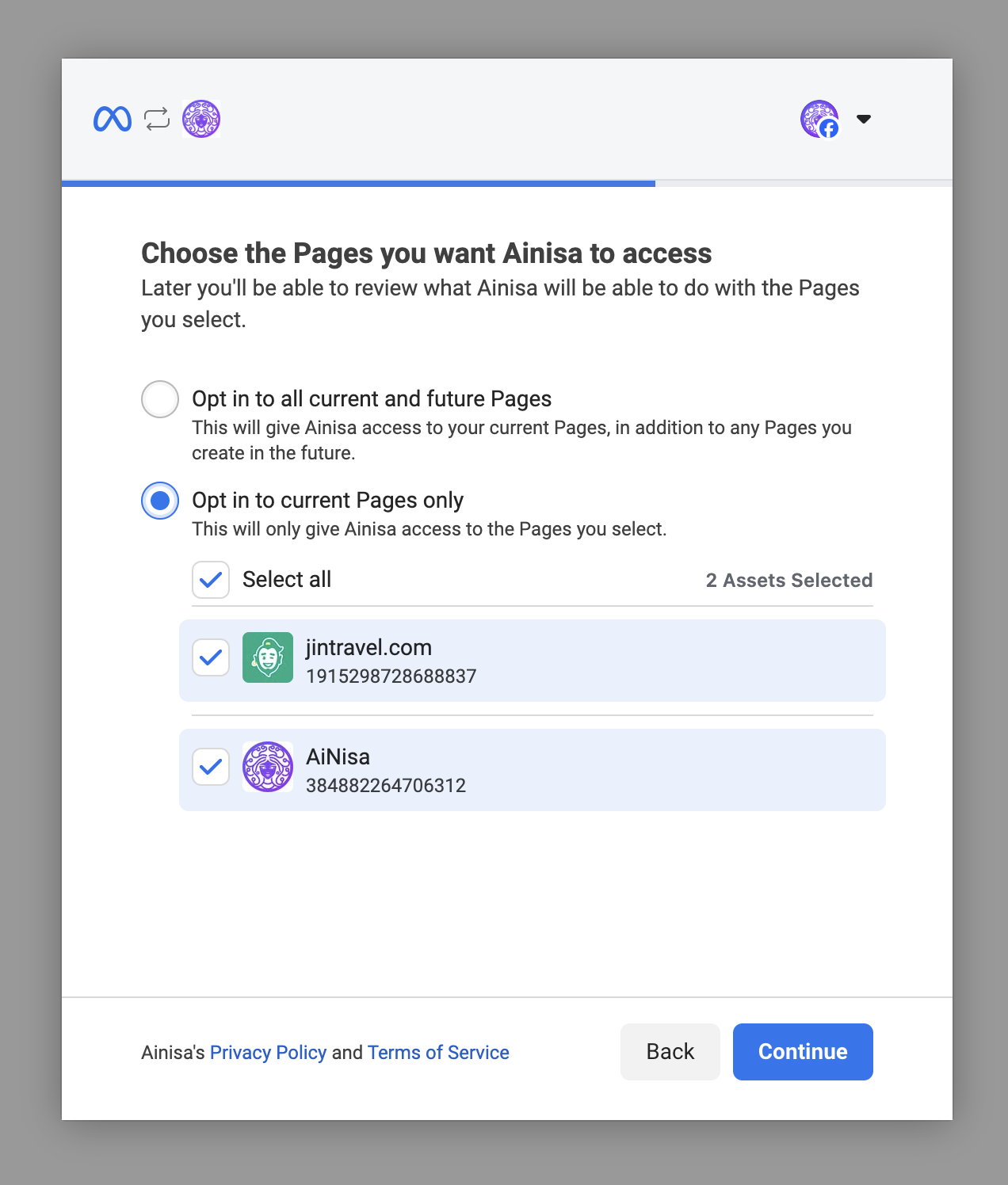 Meta Authorization Page
