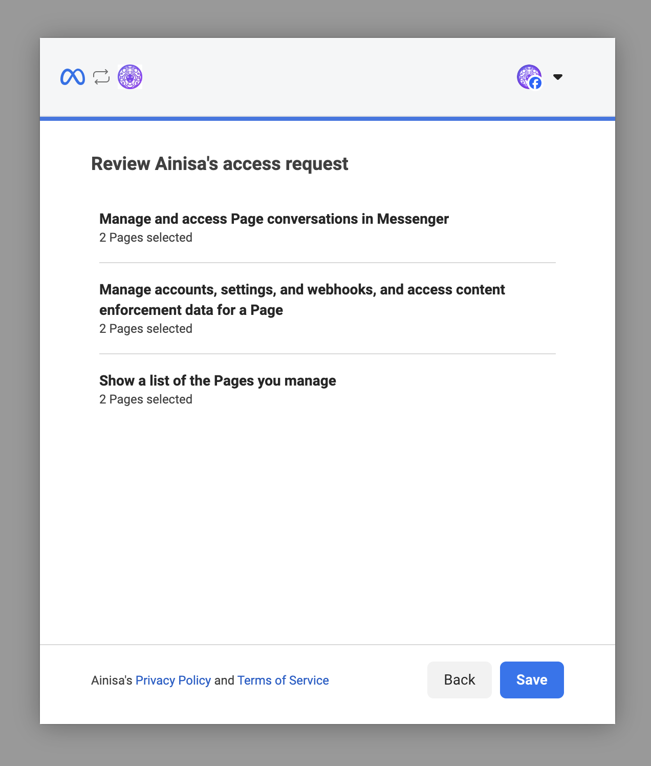 Meta Authorization Page
